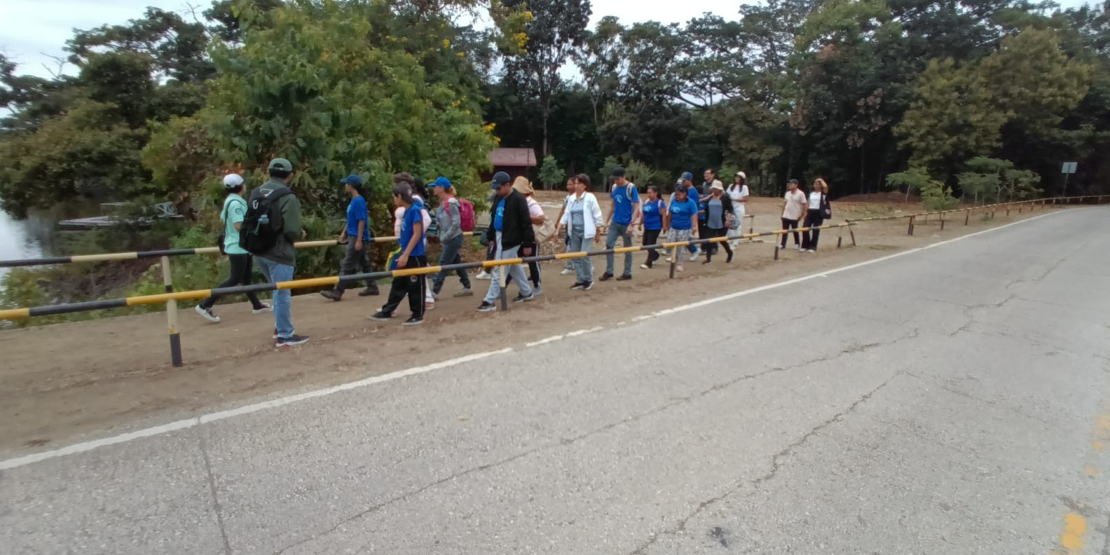 Imagen 5